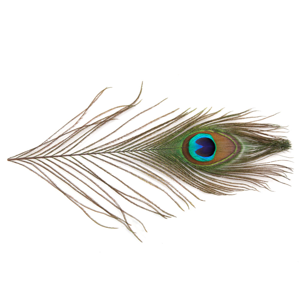 New 50pcs Beauty 10 12 Tail Eyes Peacock Feathers Party Decor
